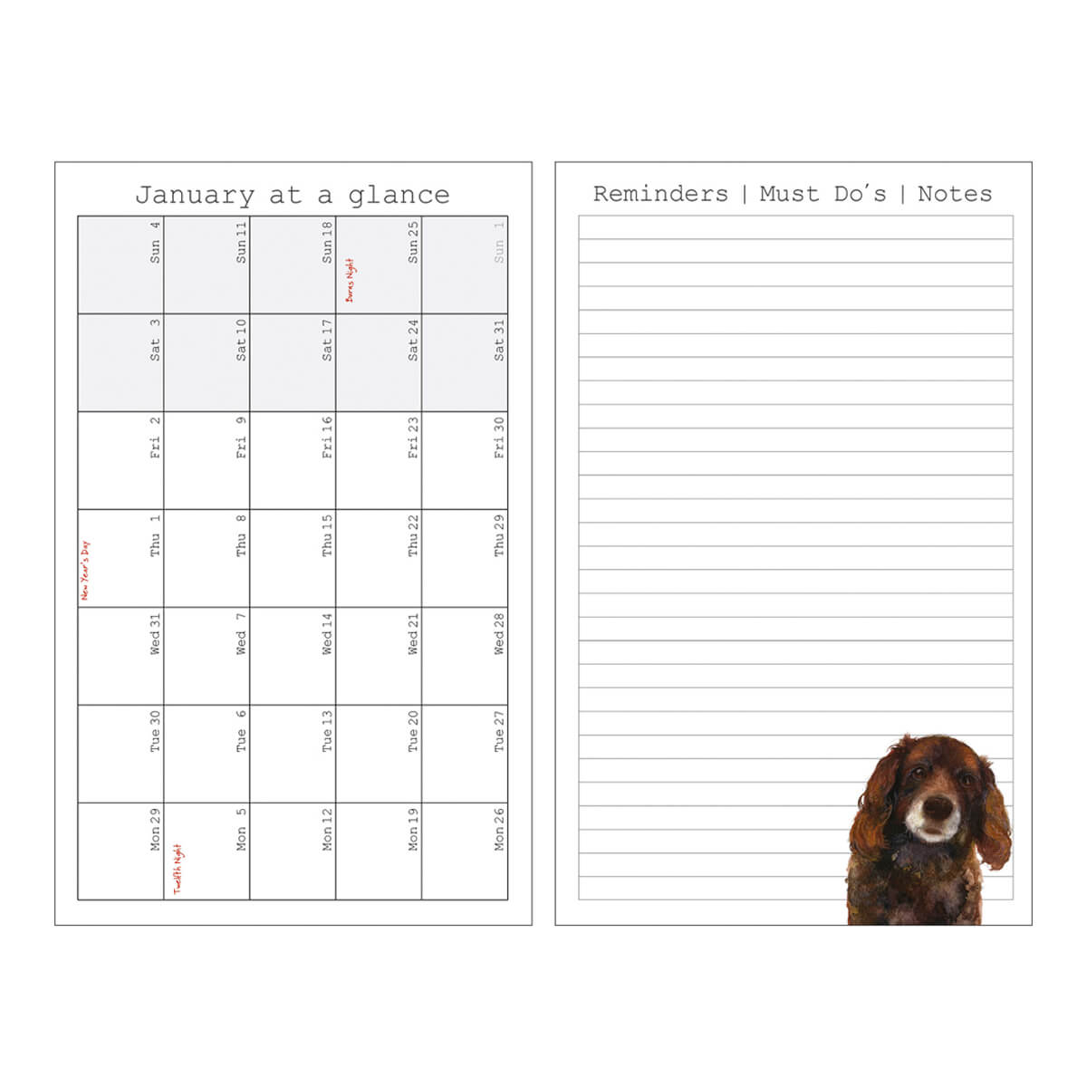 Scruffy Mutt’s Dog Diary 2026