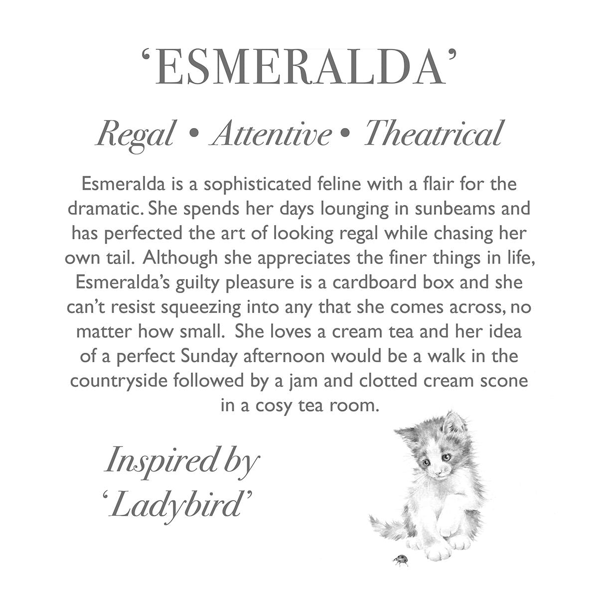 Wrendale Esmeralda Cat Character