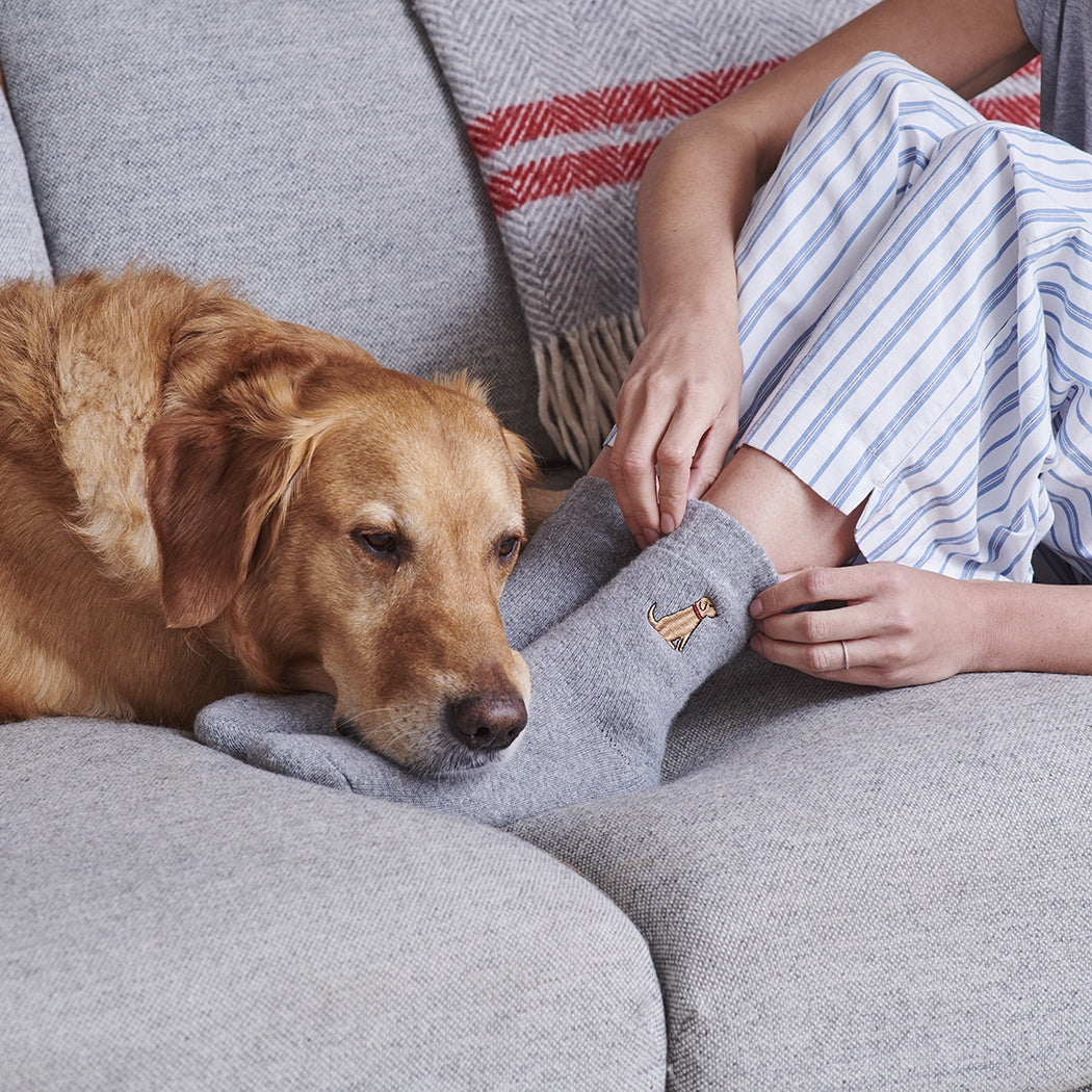 Sweet William Fox Red Labrador Dog Walker Socks