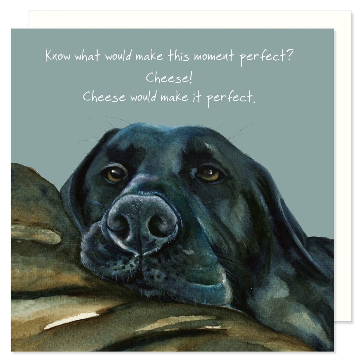 Little Dog Laughed Black Labrador “Cheese Moment” Card