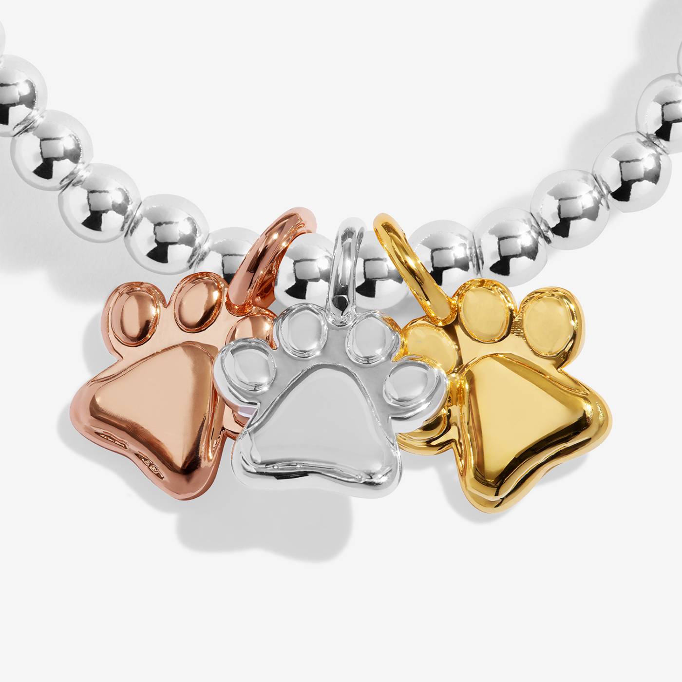 Joma Jewellery A Little Charmed Moments 'Perfect Paw Print' Bracelet In Silver, Gold, and Rose Gold Plating