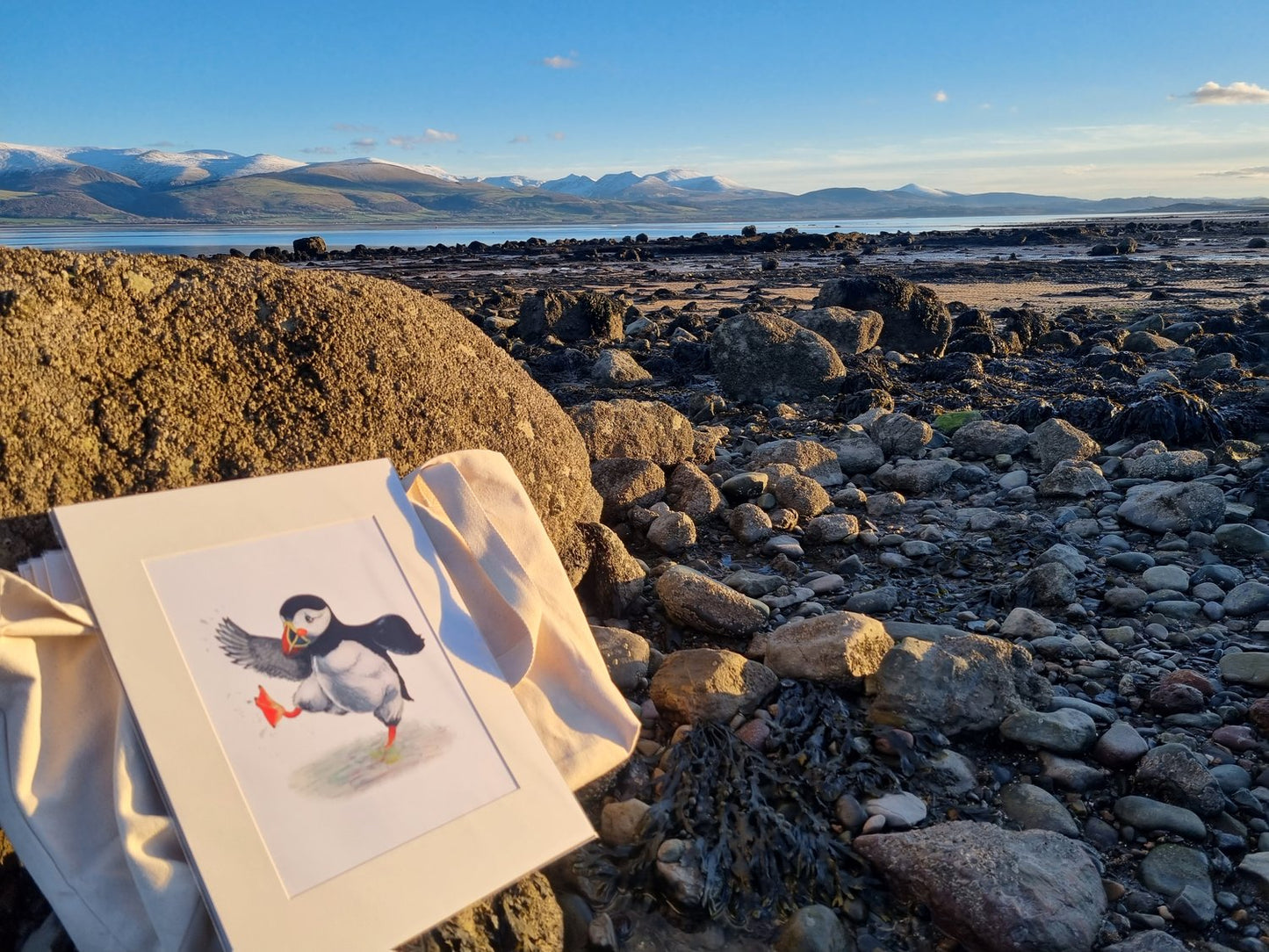 Puffin Prints “Paddlin’’ Puffin” Mounted A4 Print