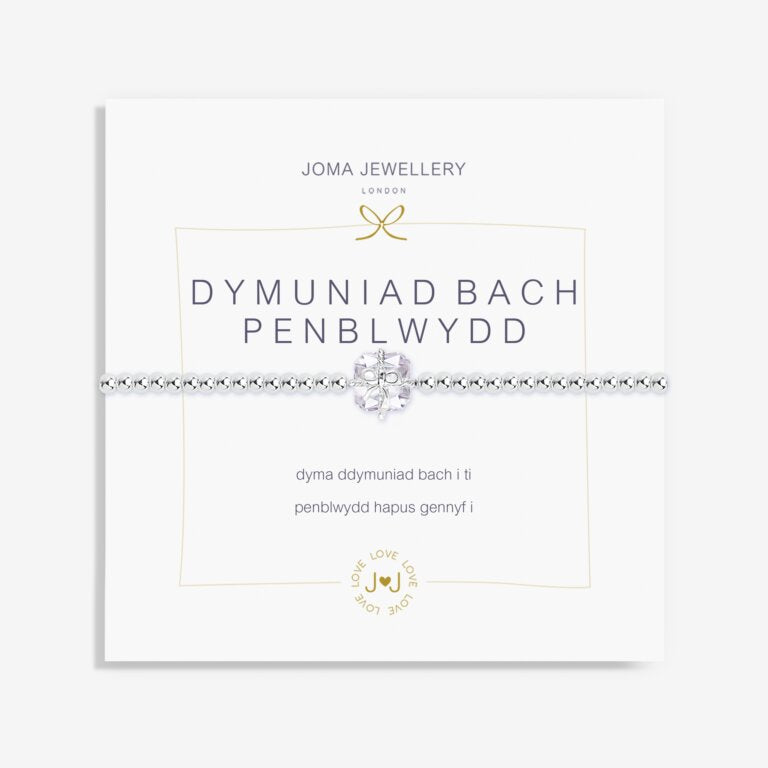 Joma Jewellery A Little Dymuniad Bach Penblwydd