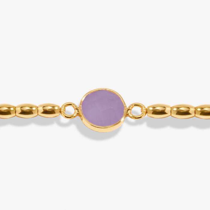 Joma Jewellery Serenity Stones Amethyst Bracelet