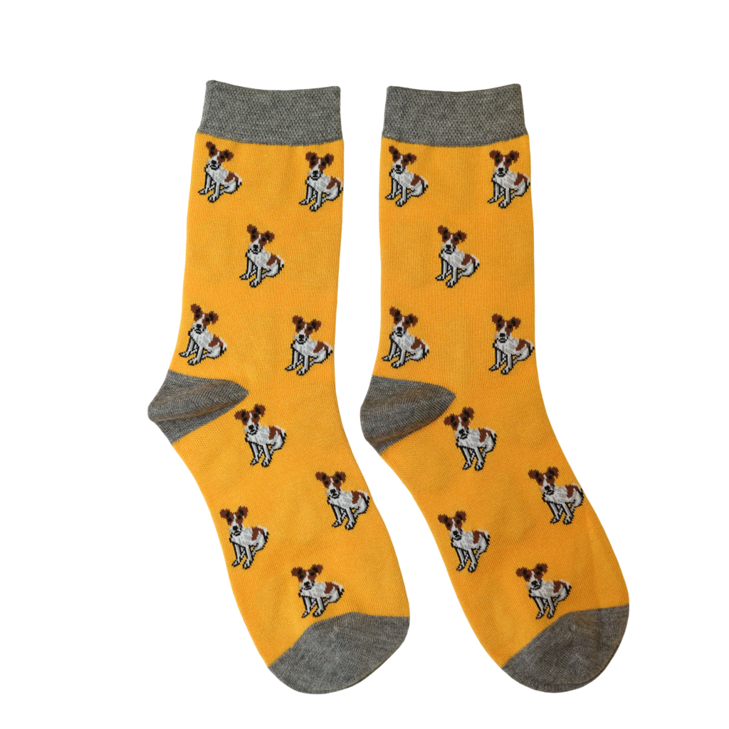 Jess & Lou Tiny Terrier Bamboo Socks