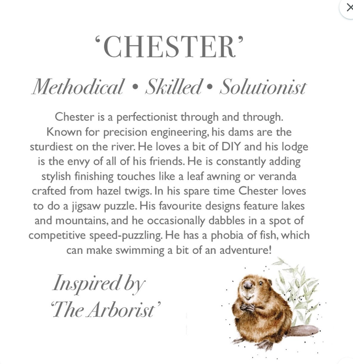Wrendale Designs Chester Beaver Plush Character