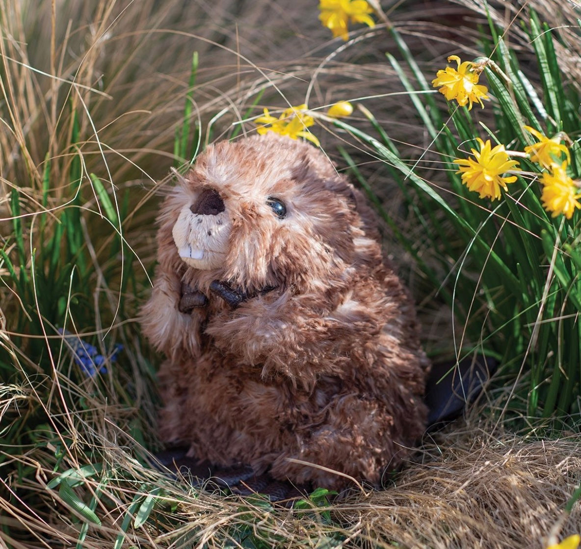 Wrendale Designs Chester Beaver Plush Character