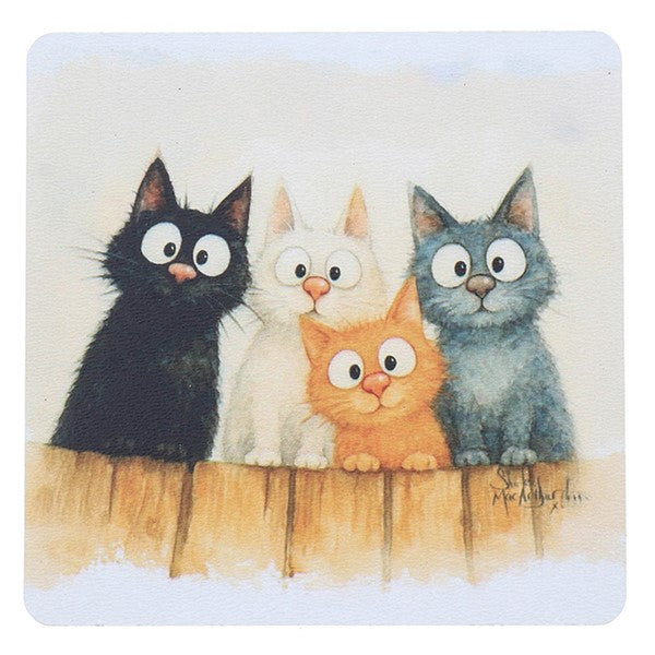 Cat Gift Ideas