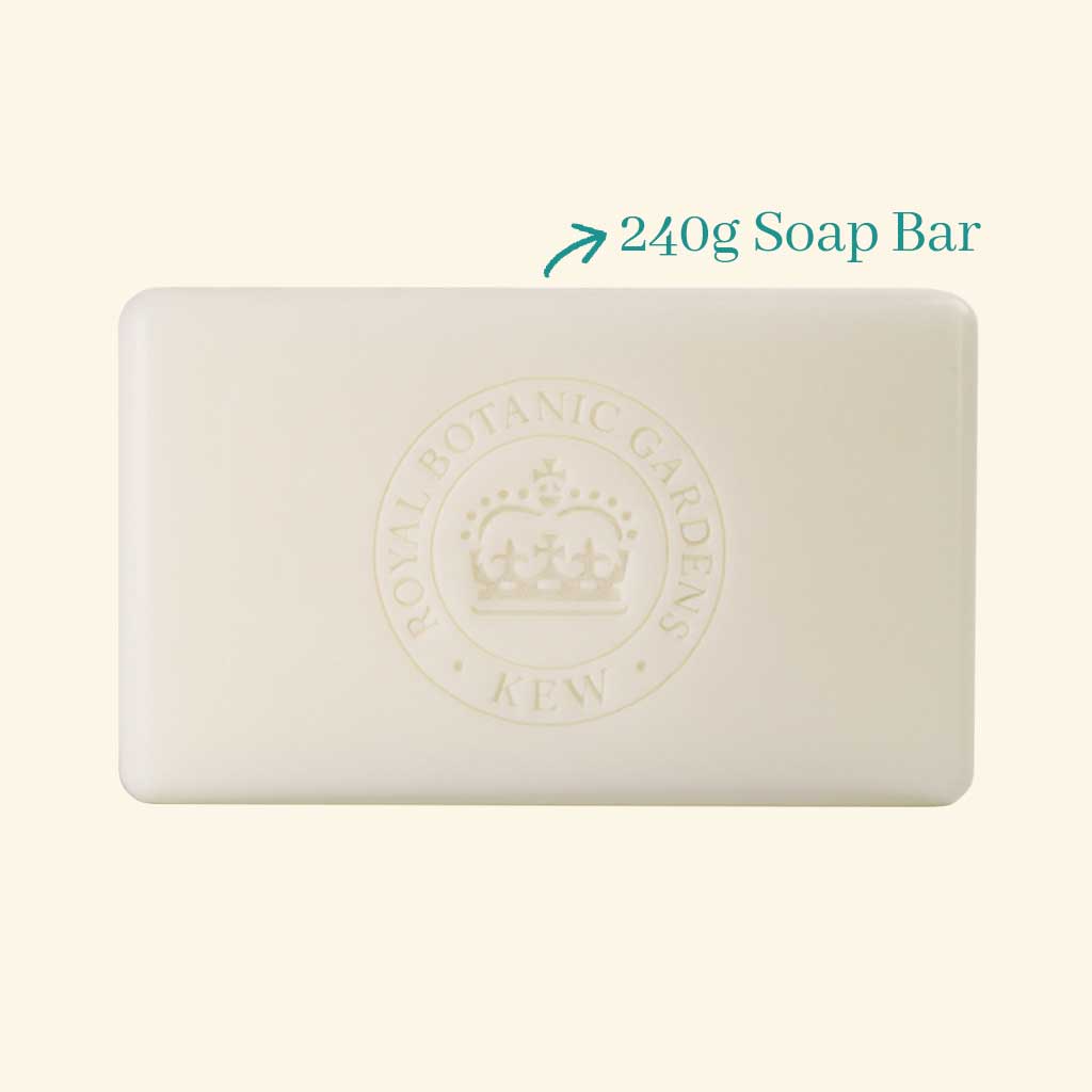 Kew Gardens Narcissus Lime Soap