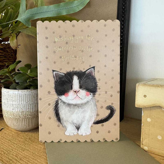 Alex Clark Bee Kitten Birthday Card