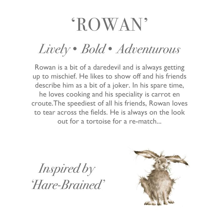 Wrendale Rowan Hare Character Junior