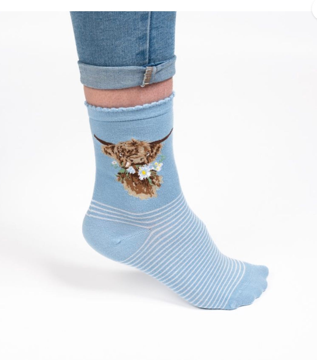 Wrendale “Daisy Coo” Highland Cow Socks