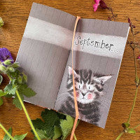 Alex Clark Pocket Diary 2027 - Charismatic Cats