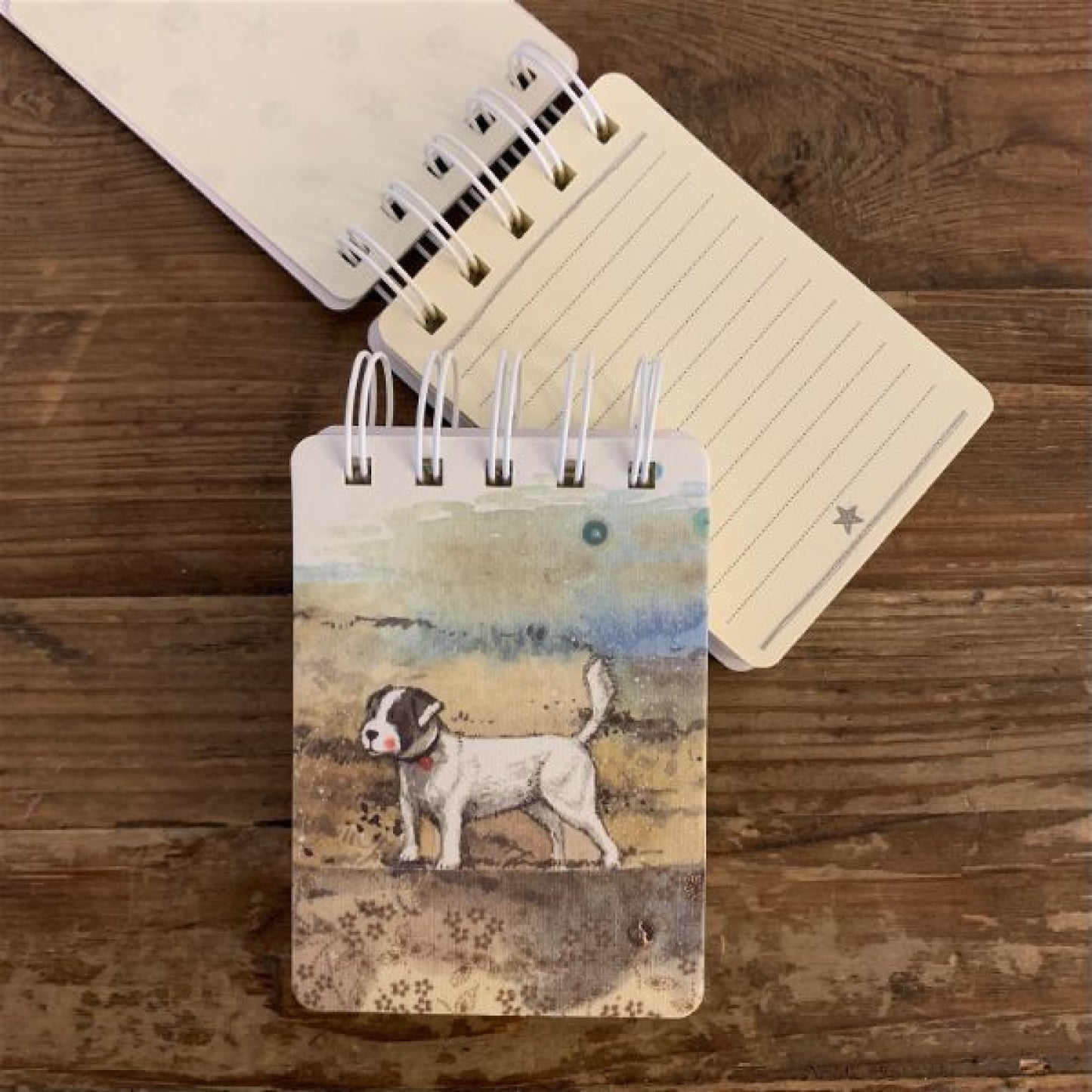 Alex Clark Beach Boy Small Spiral Bound Notepad