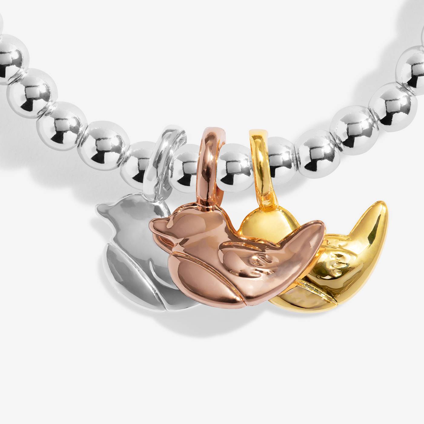 Joma Jewellery A Little Charmed Moments 'Robins Appear When Loved Ones Are Near' Bracelet In Silver, Gold, and Rose Gold Plating