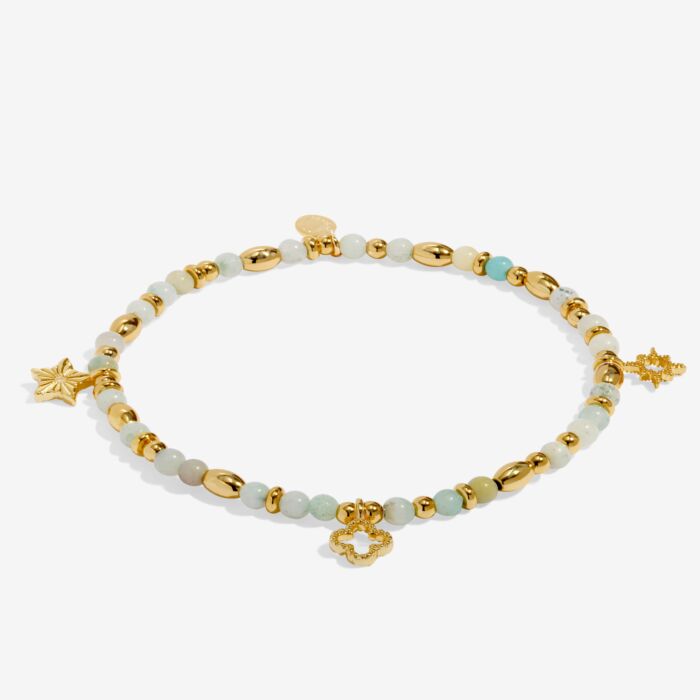 Joma Jewellery Affirmation Card ‘Luck’ Bracelet