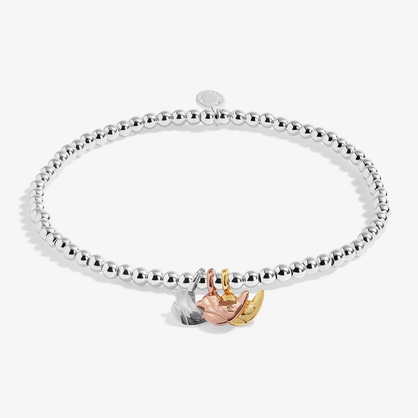 Joma Jewellery A Little Charmed Moments 'Robins Appear When Loved Ones Are Near' Bracelet In Silver, Gold, and Rose Gold Plating