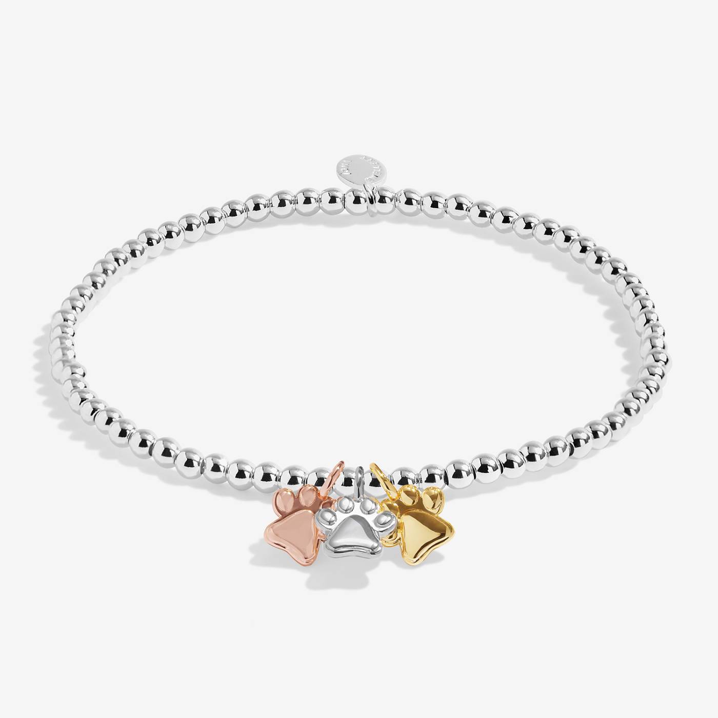 Joma Jewellery A Little Charmed Moments 'Perfect Paw Print' Bracelet In Silver, Gold, and Rose Gold Plating