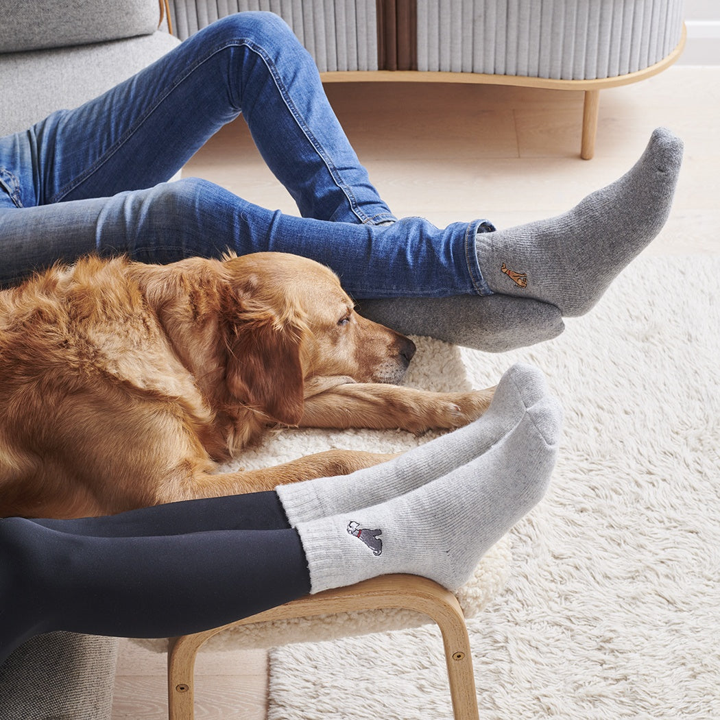 Sweet William Cockapoo/Labradoodle (Apricot)  Dog Walker Socks