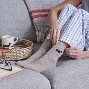 Sweet William Dachshund Dog Walker Socks