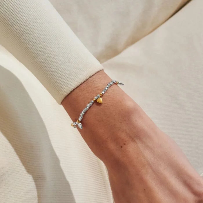 Joma Jewellery Sparkle Confetti A little ‘Amazing Sister’ Silver & Gold Plated Bracelet