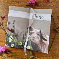 Alex Clark Pocket Diary 2027 - It’s the Little Things in Life