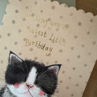Alex Clark Bee Kitten Birthday Card
