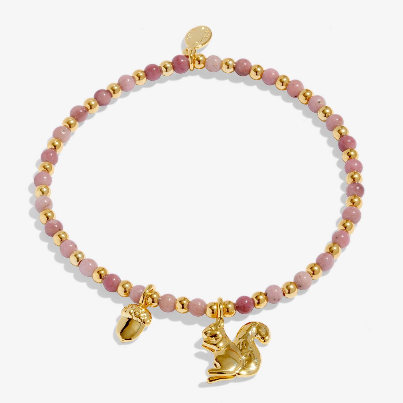 Joma Jewellery Autumn's Calling A Little 'Small But Mighty' Bracelet In Gold Plating