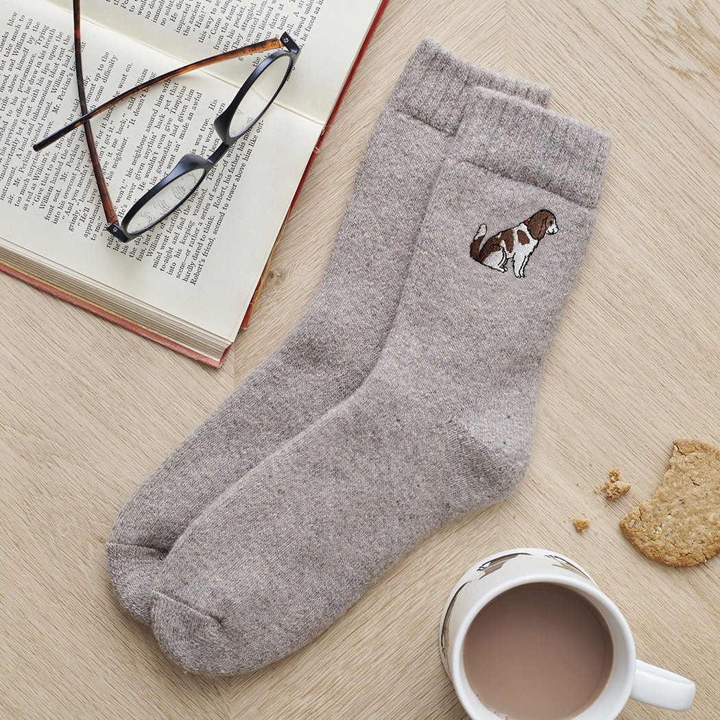 Sweet William Cavalier King Charles Spaniel Dog Walker Socks