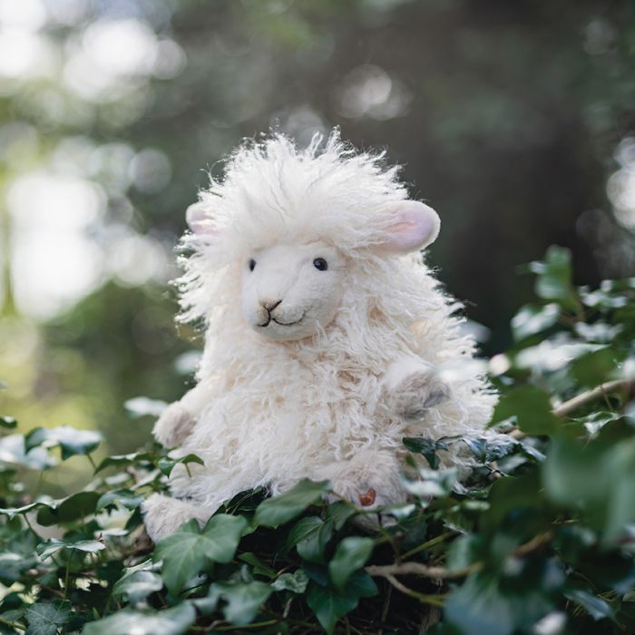 Wrendale Beryl Sheep Regular