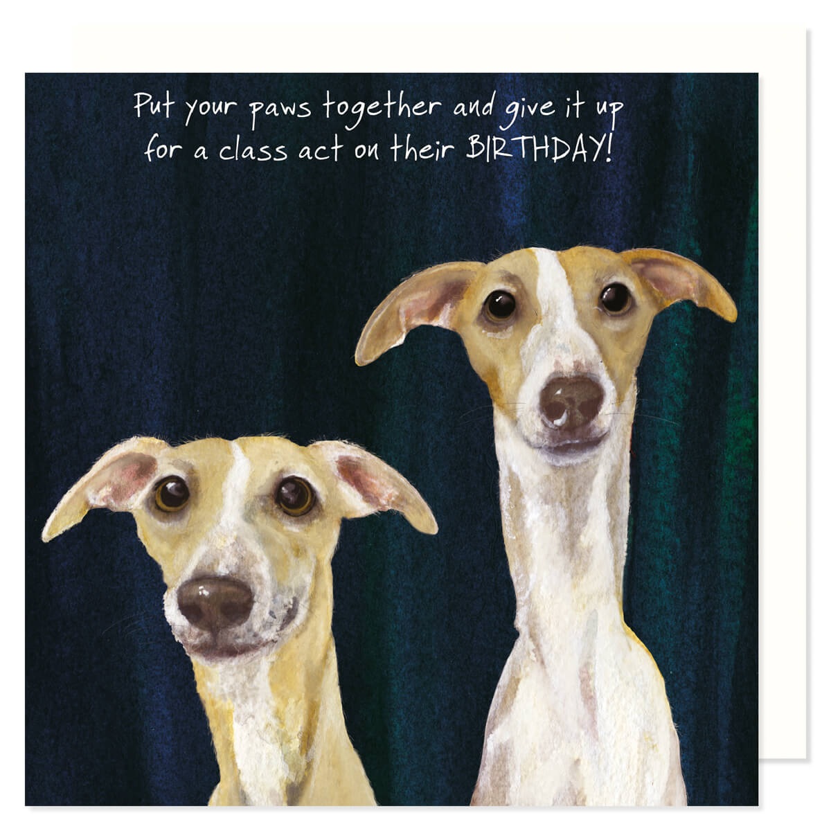 Little Dog Laughed Whippets “Class Act” Card