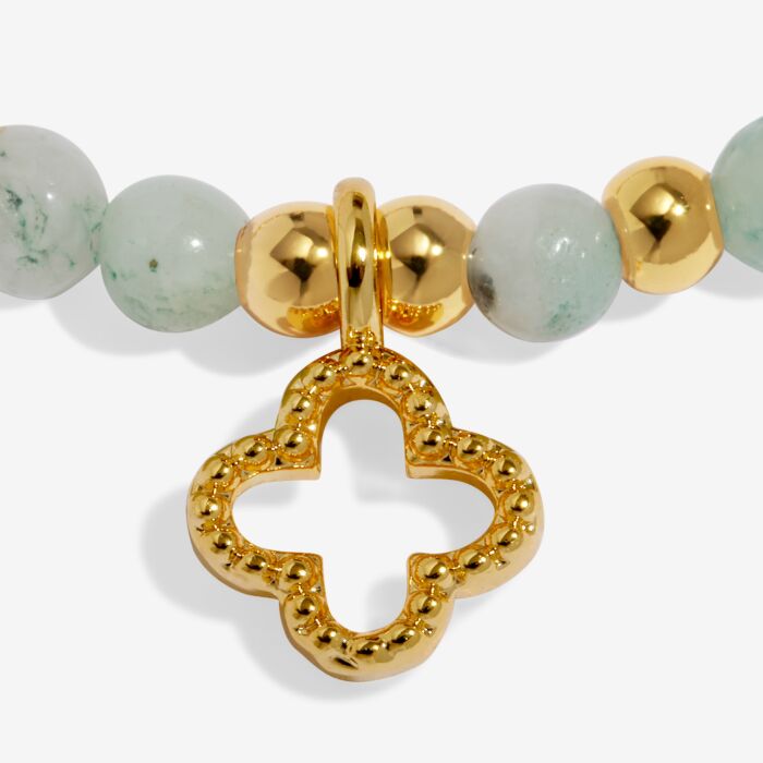 Joma Jewellery Affirmation Card ‘Luck’ Bracelet